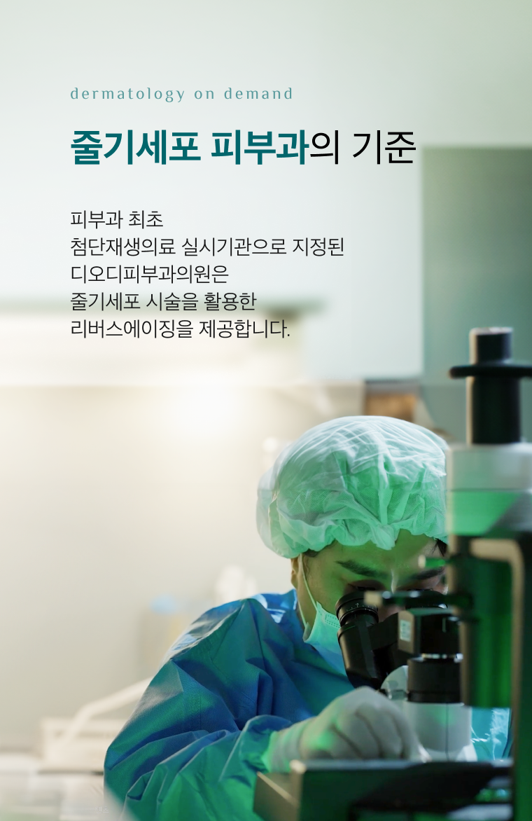 모바일